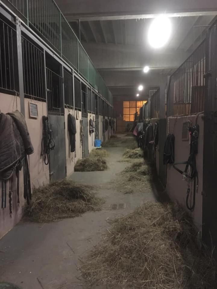 Lions Village Domodossola Zewnętrze zdjęcie